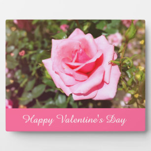 lovely pink rose flower with sweet hearts plaque
