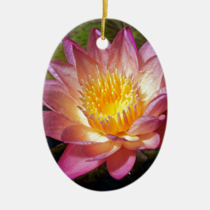 Lovely Pink Water Lily Ceramic Tree Decoration