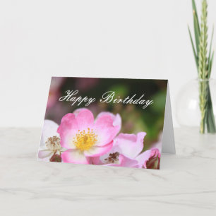 lovely pink wild rose flowers happy birthday card