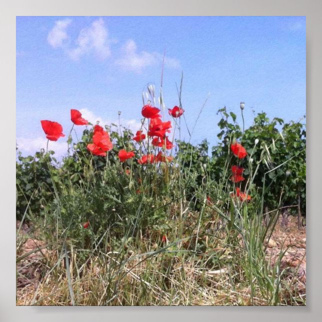 Lovely Poster of Red Poppies and Vines (Front)