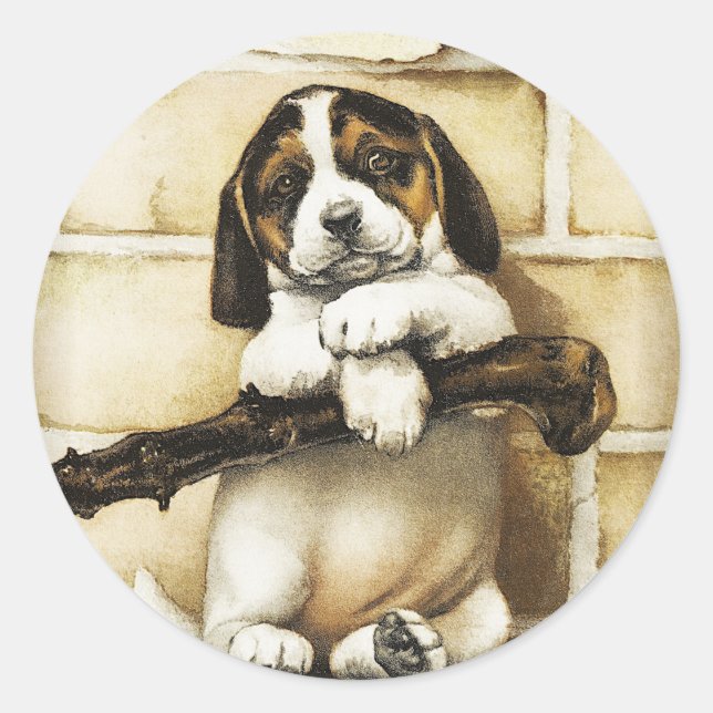 Lovely Puppy  Classic Round Sticker (Front)