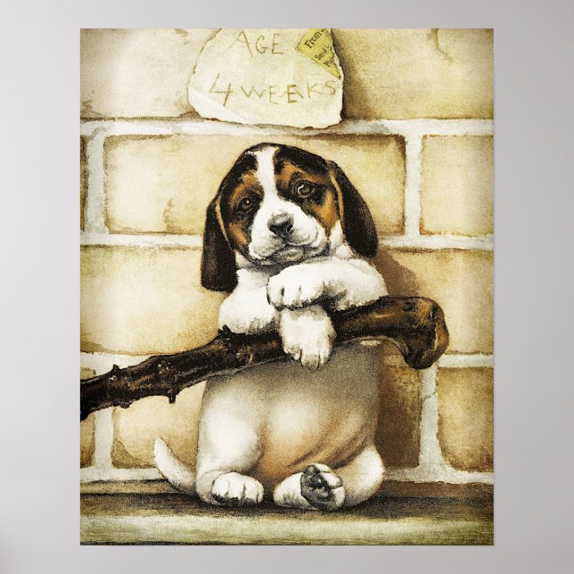 Lovely Puppy  Poster (Front)