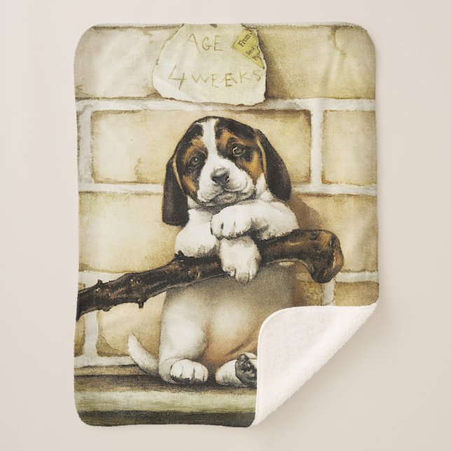 Lovely Puppy  Sherpa Blanket (Front)