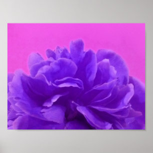 Lovely Purple Raspberry Floral Poster