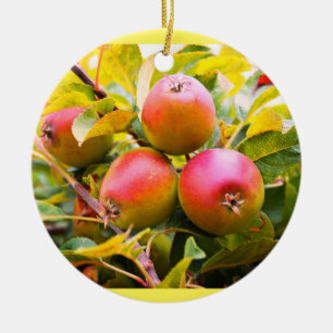 Lovely red apples ceramic tree decoration
