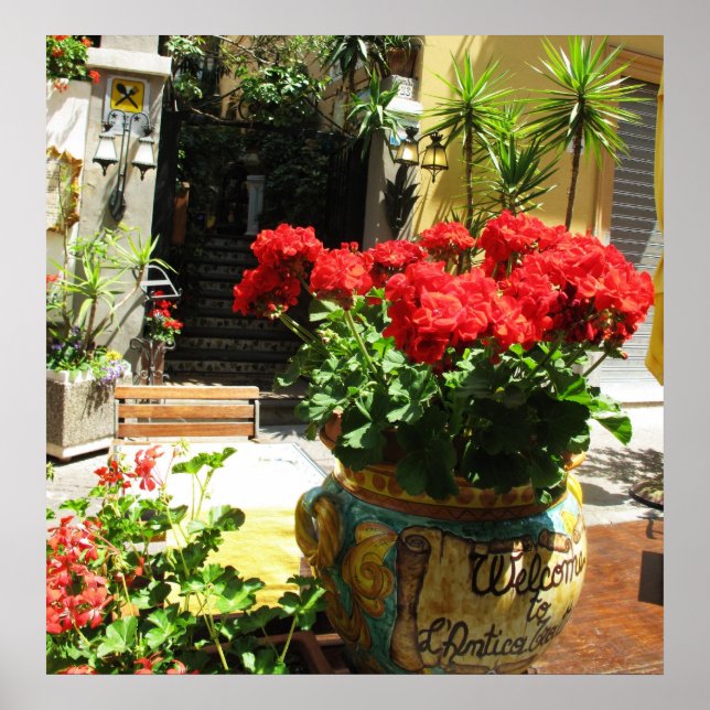 LOVELY RED FLOWERS IN CERAMIC POT POSTER (Front)