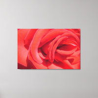 lovely red rose flower photo art work. love, wed