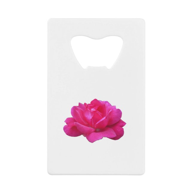 lovely single pink rose flower (Front)