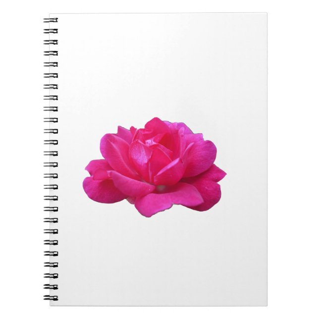 lovely single pink rose flower notebook (Front)