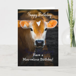 Lovely Sister Happy Birthday Card –Funny Cow Photo