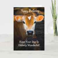 Lovely Sister Happy Birthday Card –Funny Cow Photo
