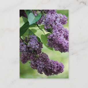 Lovely Spring Mini Print Business Card