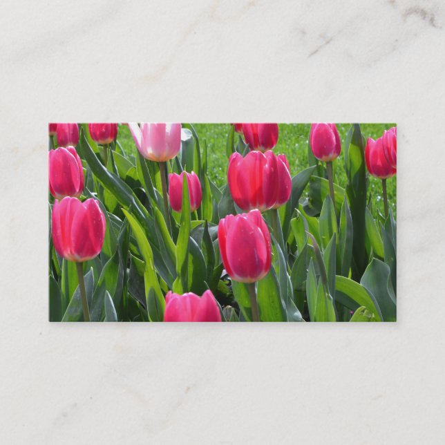 lovely spring pink tulip flowers. garden floral business card (Front)