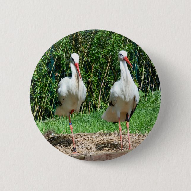 Lovely Stork 6 Cm Round Badge (Front)