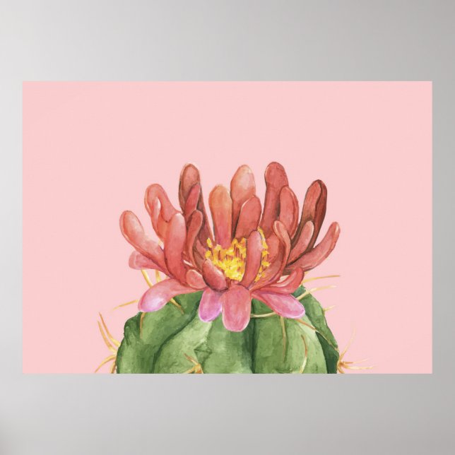Lovely Succulent Flower Poster (Front)