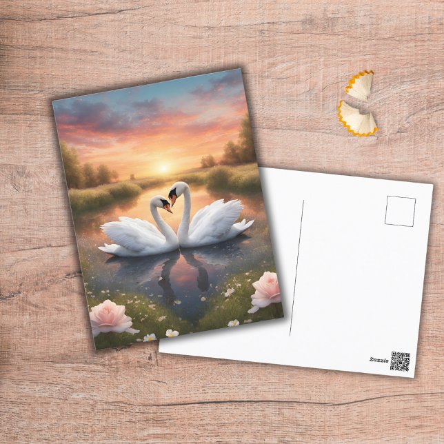Lovely Swans Postcard (Creator Uploaded)
