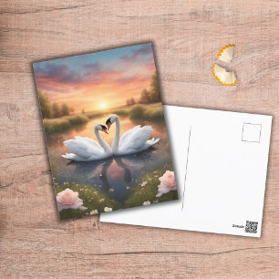 Lovely Swans Postcard