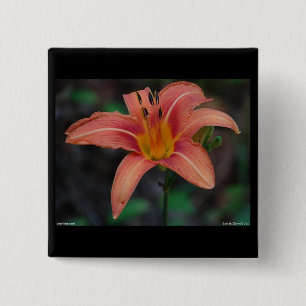 Lovely Tawny Daylily Apparel and Gifts 15 Cm Square Badge