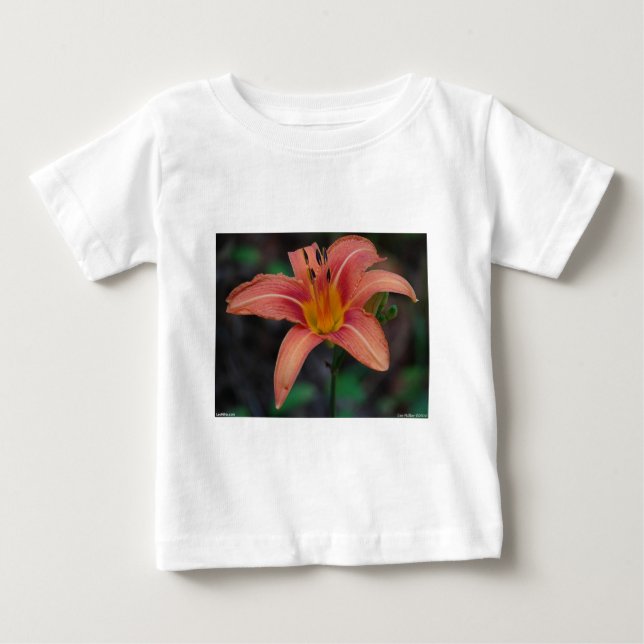 Lovely Tawny Daylily Apparel and Gifts Baby T-Shirt (Front)