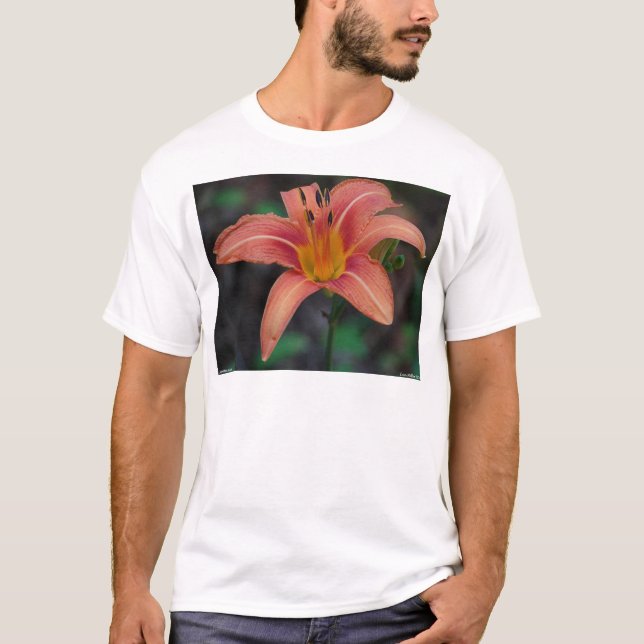 Lovely Tawny Daylily Apparel and Gifts T-Shirt (Front)