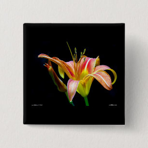 Lovely Tawny Daylily II Apparel and Gifts 15 Cm Square Badge