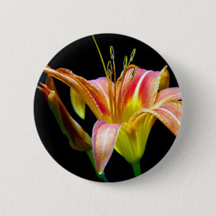 Lovely Tawny Daylily II Apparel and Gifts 6 Cm Round Badge