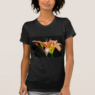 Lovely Tawny Daylily II Apparel and Gifts T-Shirt