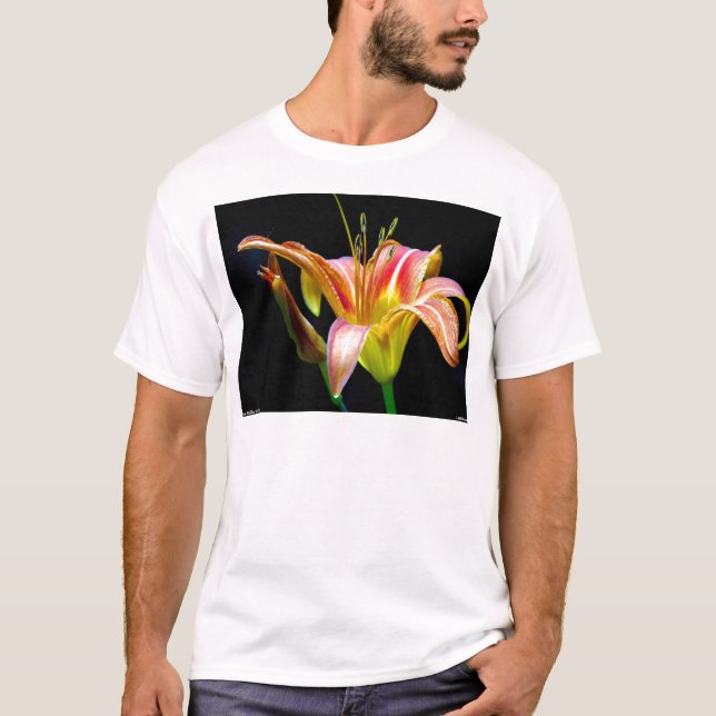 Lovely Tawny Daylily II Apparel and Gifts T-Shirt (Front)