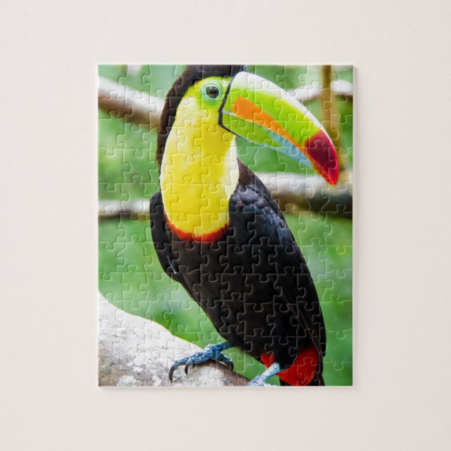 Lovely Toucan Jigsaw Puzzle (Vertical)