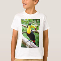 Lovely Toucan