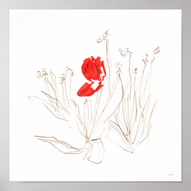 Lovely tulip in the wind and rain poster (Front)