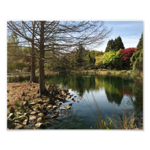 Lovely View by the lake Photo Print