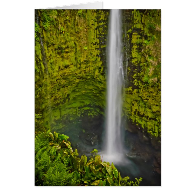 Lovely Waterfalls And Cascades Abound (Front)