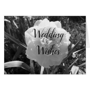 Lovely White daffodil wedding wishes