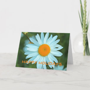 Lovely white daisy flower happy holidays holiday card