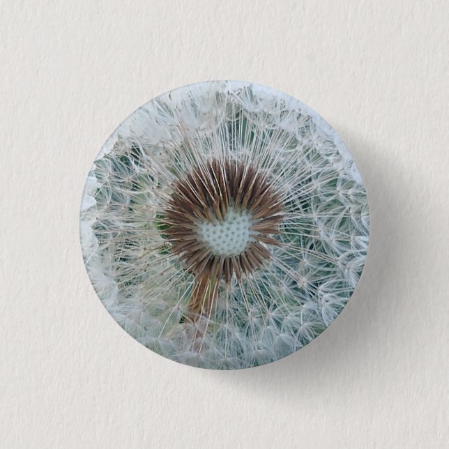 Lovely White Dandelion 3 Cm Round Badge (Front)
