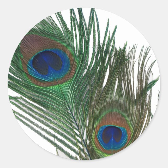 Lovely White Peacock Feather Classic Round Sticker (Front)
