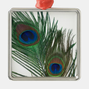 Lovely White Peacock Feather Ornament