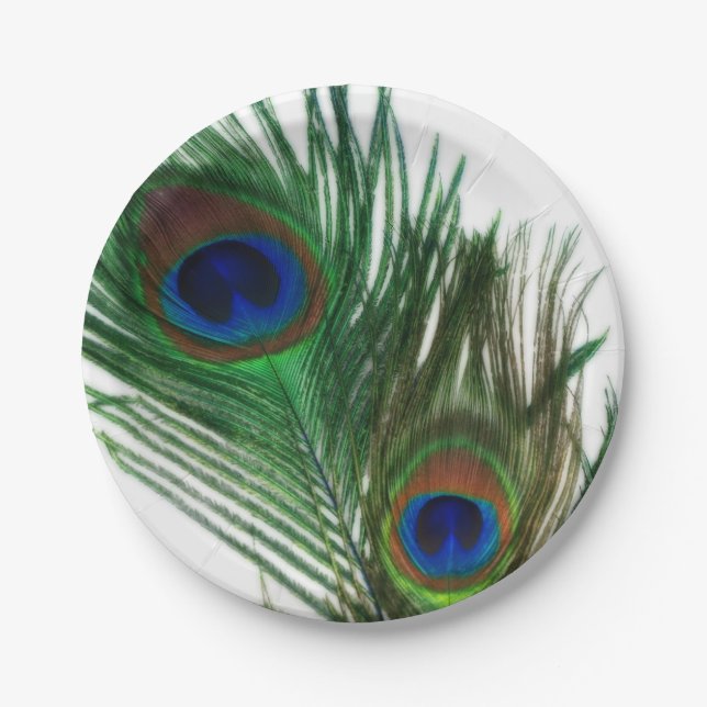 Lovely White Peacock Feathers Paper Plate (Front)