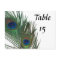 Lovely White Peacock Wedding Table Numbers
