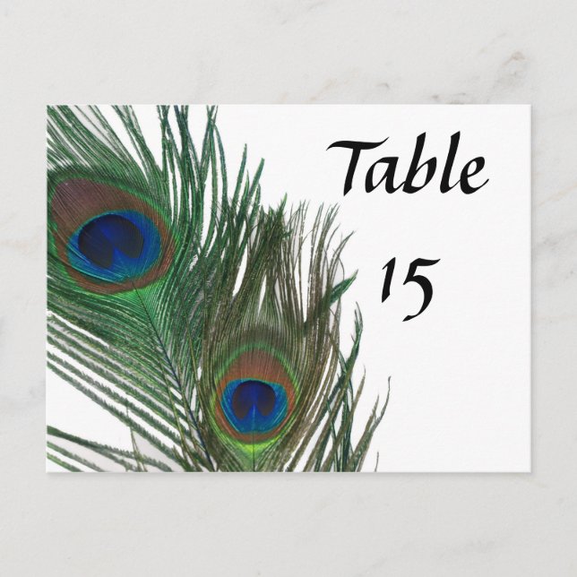 Lovely White Peacock Wedding Table Numbers Postcard (Front)