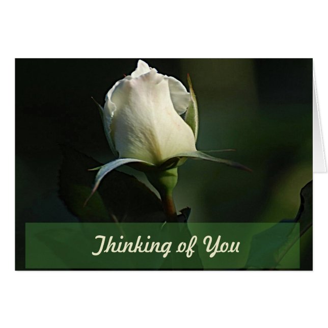 Lovely White Rosebud greeting card (Front Horizontal)