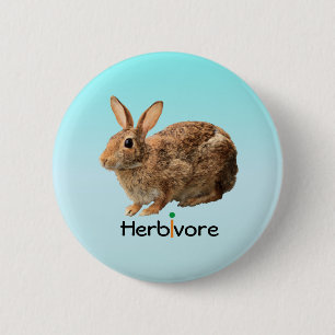 Lovely Wild Herbivore Bunny Rabbit Blue 6 Cm Round Badge