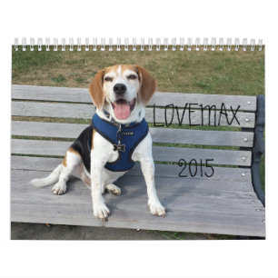 LOVEMAX 2015 Calendar