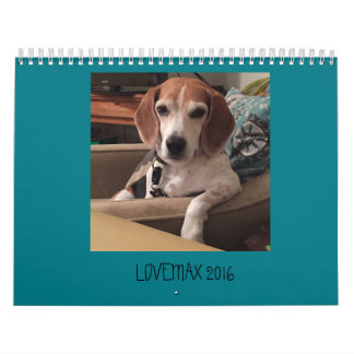 LOVEMAX 2016 CALENDAR