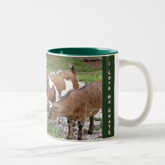 LoveMyGoats-mug Two-Tone Coffee Mug