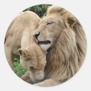 Lover Lions Sticker