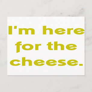 Lover of Cheese Postcard
