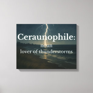 Lover of Thunderstorms Canvas Print