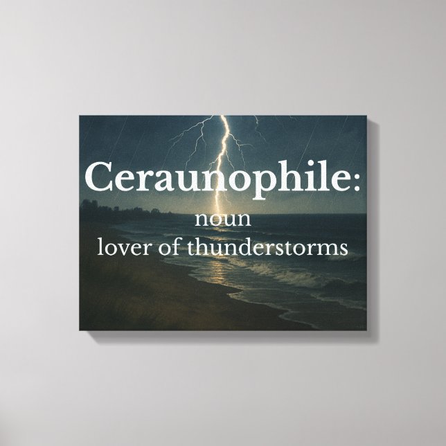 Lover of Thunderstorms  Canvas Print (Front)